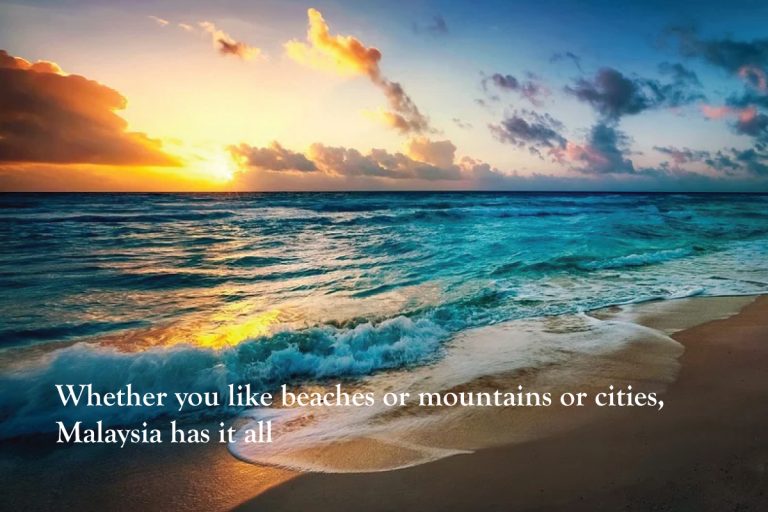 Who-Are-We_Slide-Shows-(2)